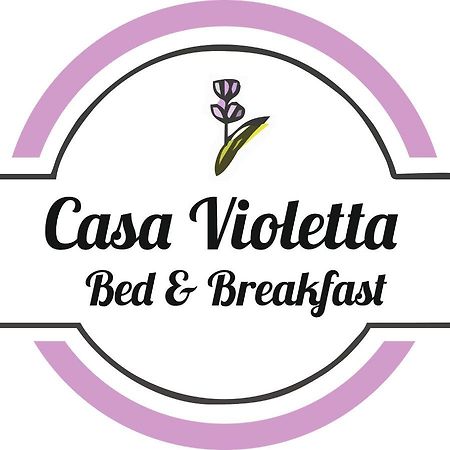 Casa Violetta Bed & Breakfast Марина-ди-Масса Экстерьер фото